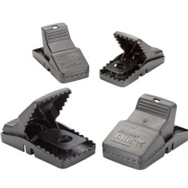 TRAPPER T-REX UND MINI-REX