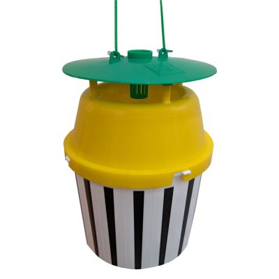 AF TRICHTERFALLE S/W