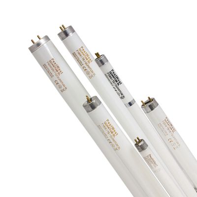 BRUCHGESCHÜTZTE QUANTUM-RÖHREN