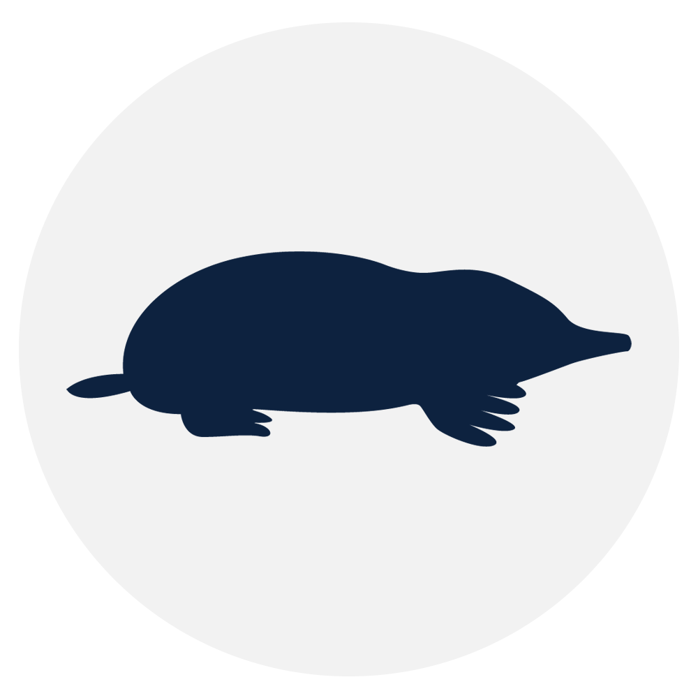 Tierfangausr&uuml;stung