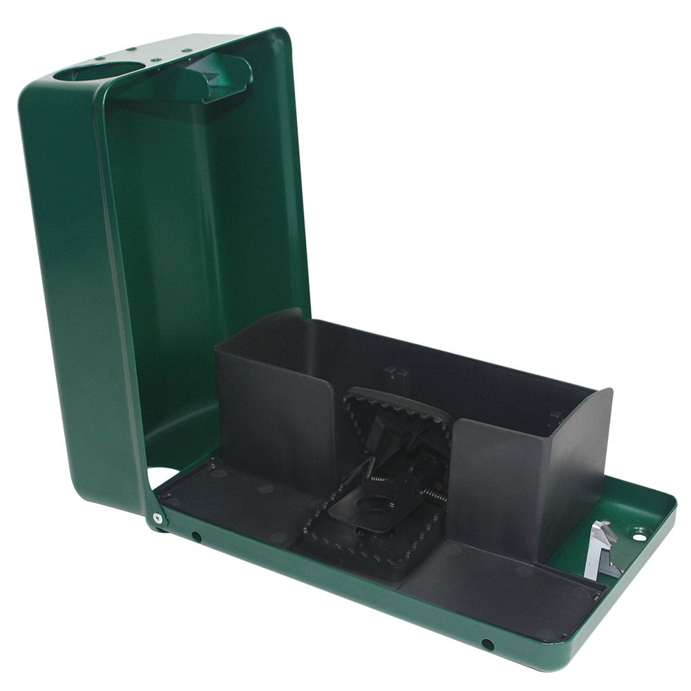 AF FORTIS