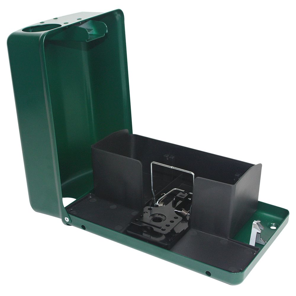 AF FORTIS
