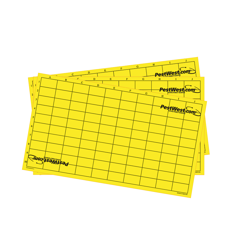 Klebeflächen Monitoring gelb gerastert - Pappe 25 x 6  Stück 