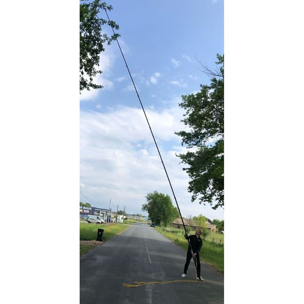 TELESKOPLANZE HORNISSE